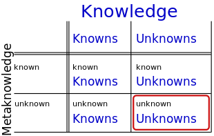 Knowledge Quadrants